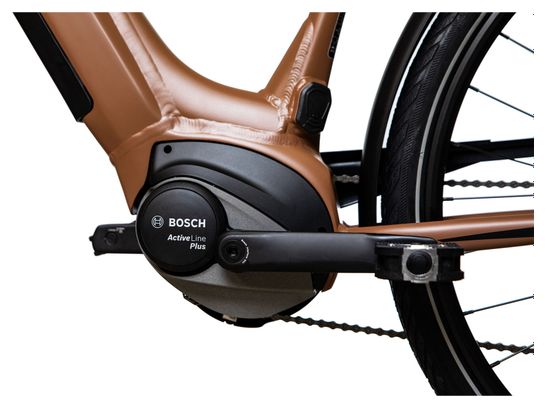 Vélo de Ville Électrique Bicyklet Victoire Shimano Alivio 9V 400 Wh 700 mm Marron