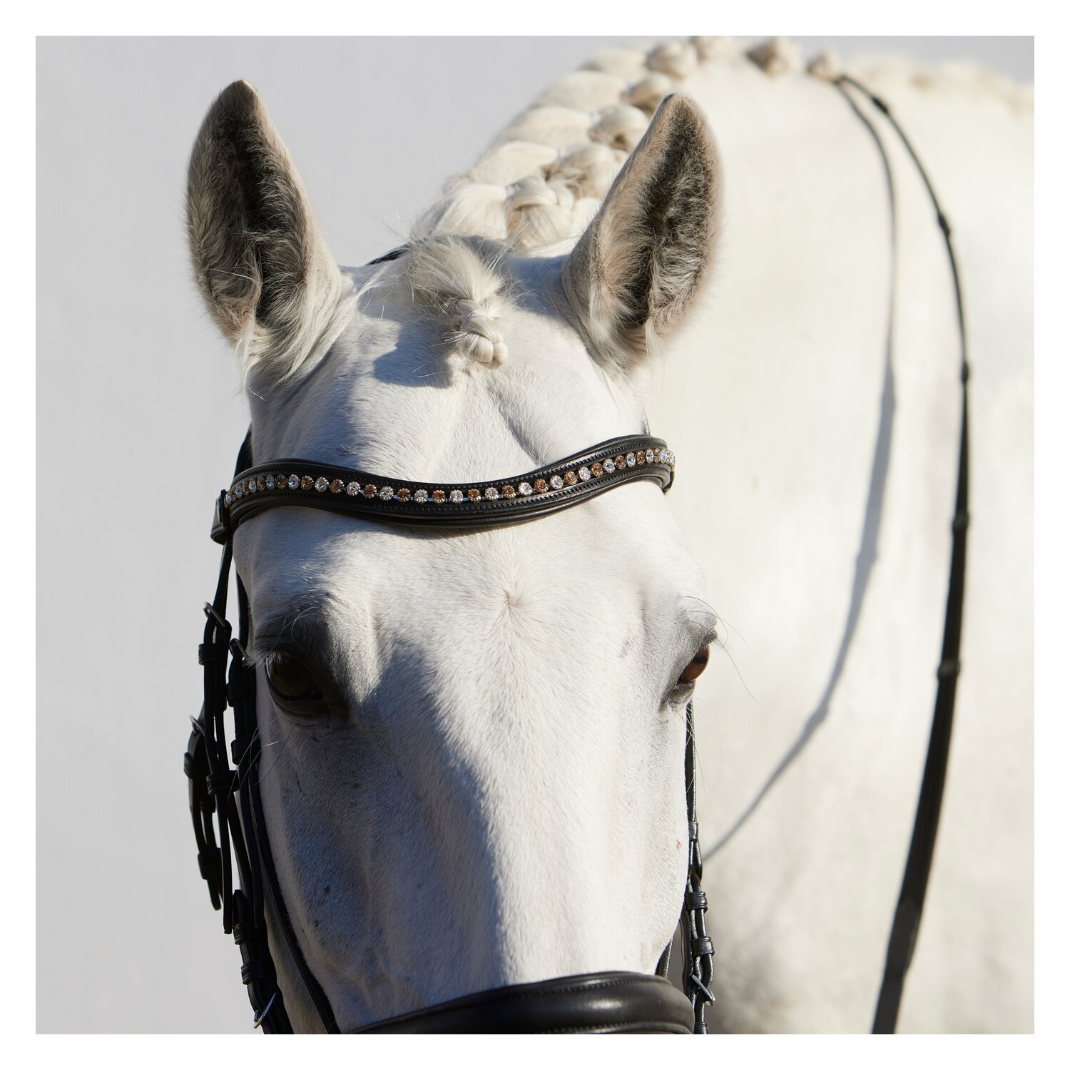 kieffer Stirnband FlexiLoop 6 mm  - gold - Warmblut