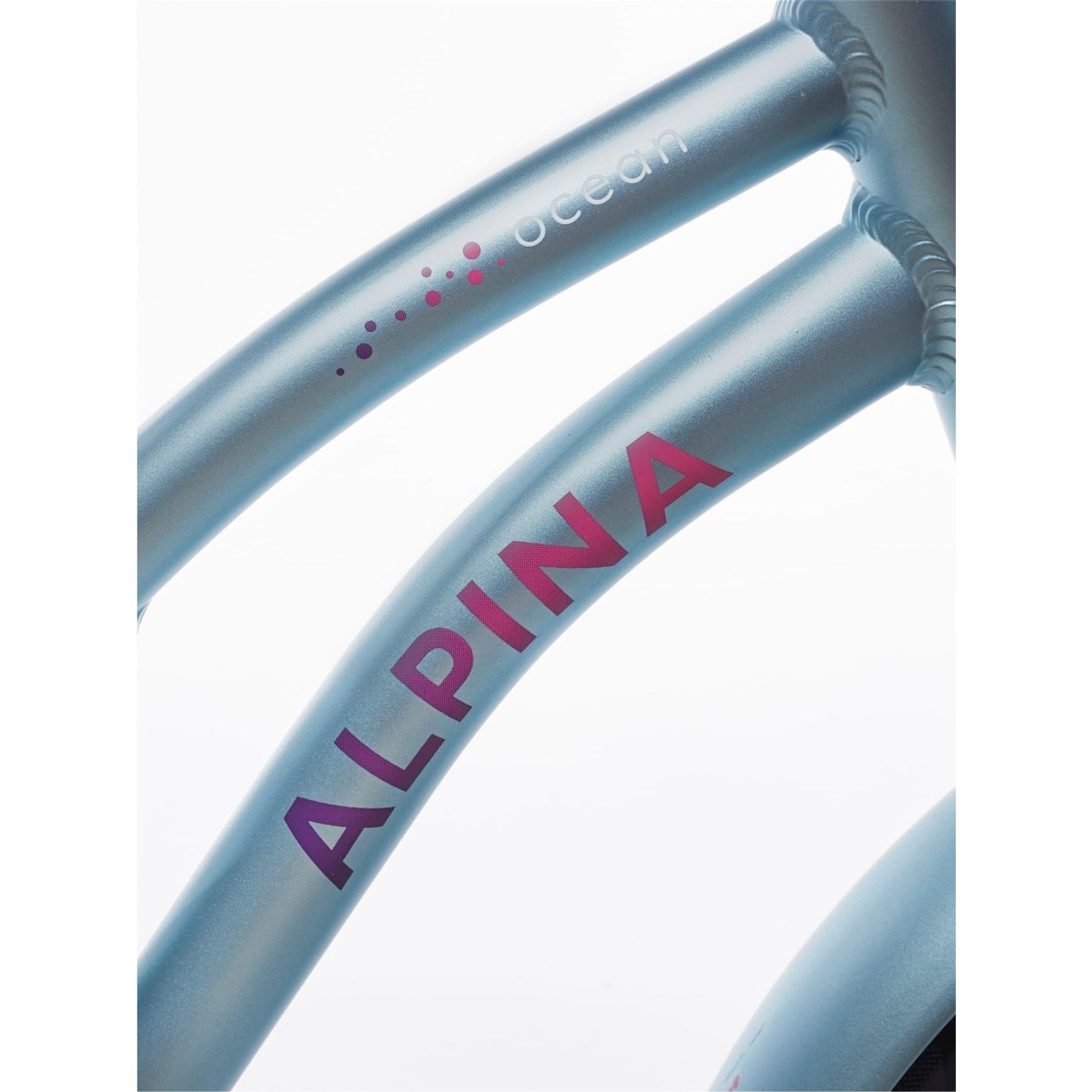 Alpina Ocean 20 inch Meisjesfiets 2026