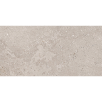 Vloertegel Eterna taupe 30 x 60 cm keramiek 1,26 m²