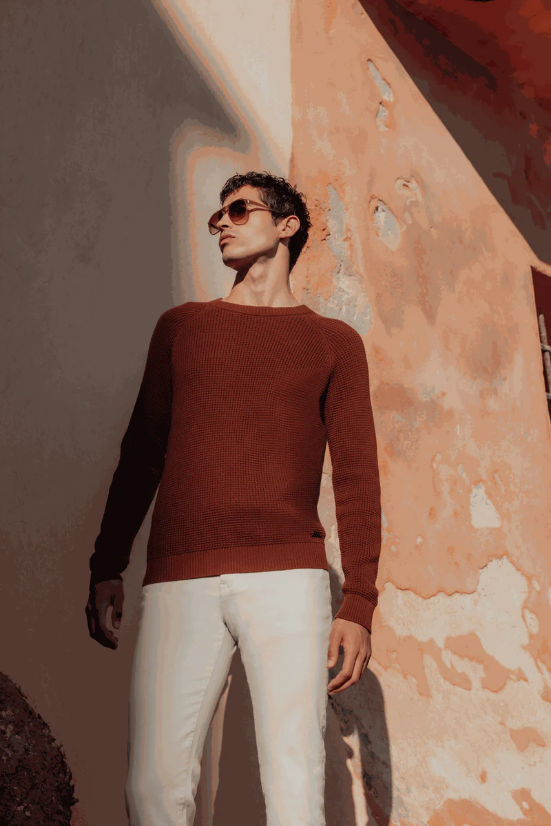 Pull col rond truffe