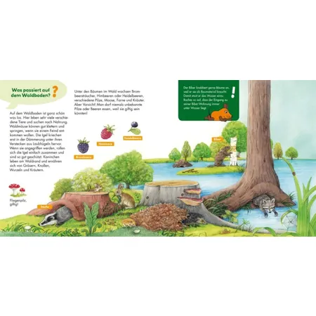 Carlsen Verlag Frag doch mal ... die Maus: Im Wald von Susanne Riha