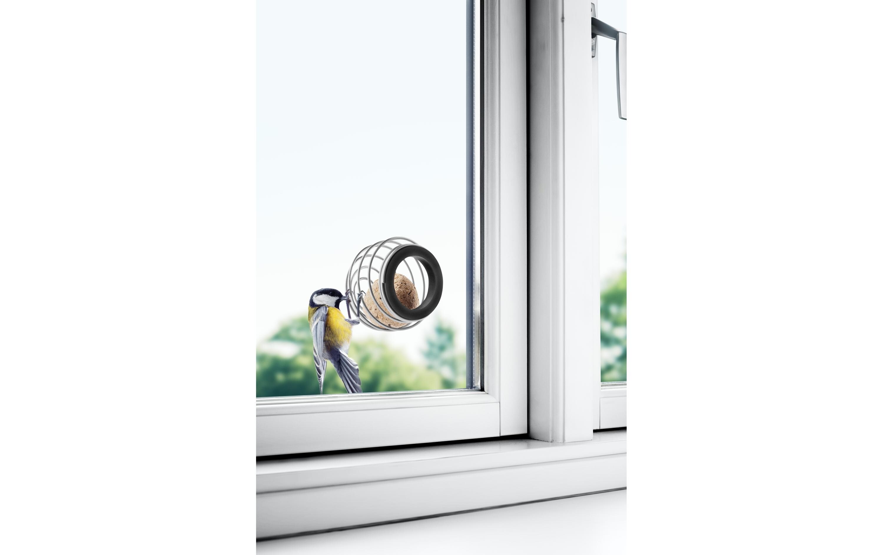 Futterspender FensterFutterspender für Kleinvögel