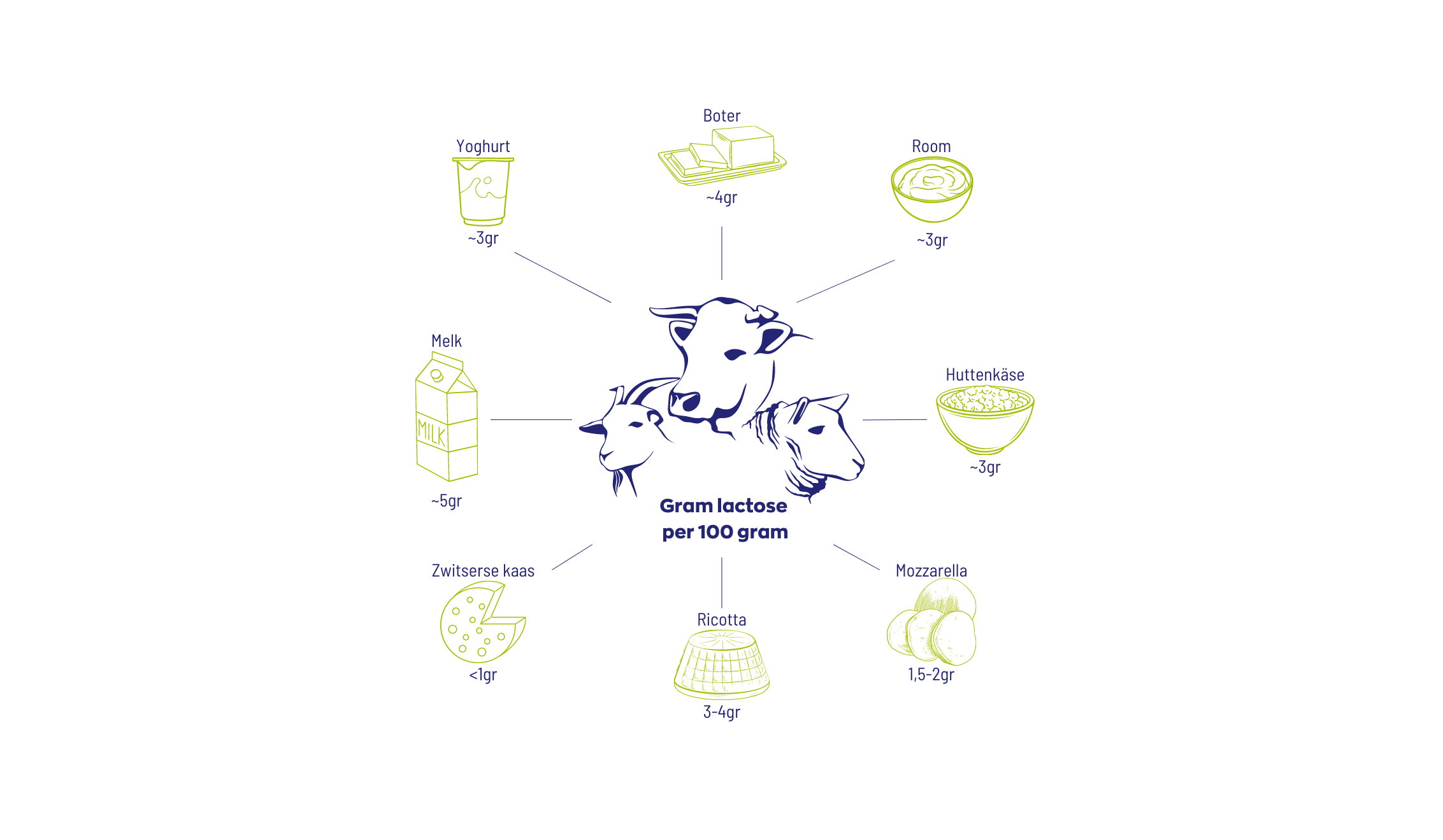 Lactase OptiFerm® 3.000 FCC