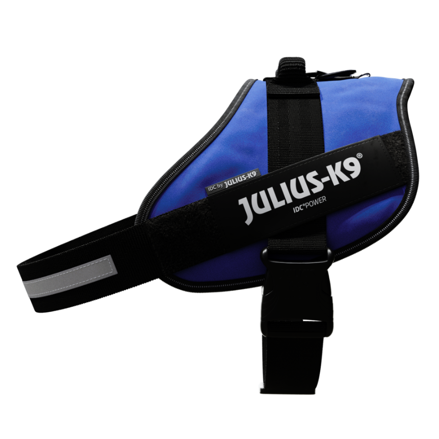 Coleira para cães Julius K9 IDC, azul