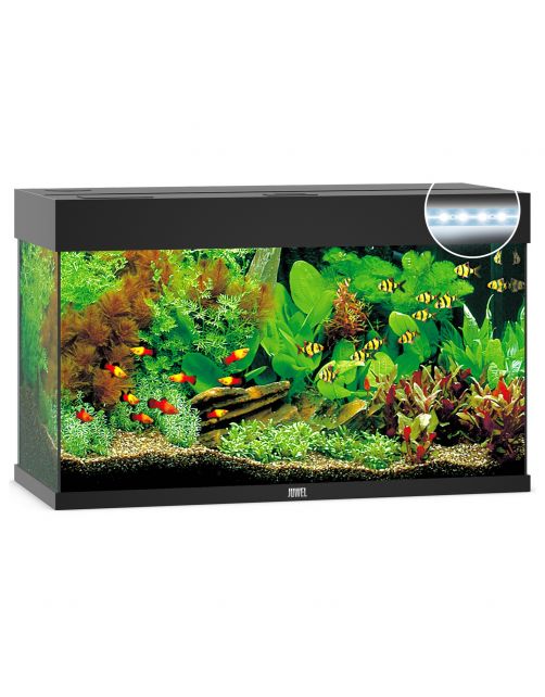 Juwel Aquarium Rio 125 Led 80x35x50 cm - Aquaria