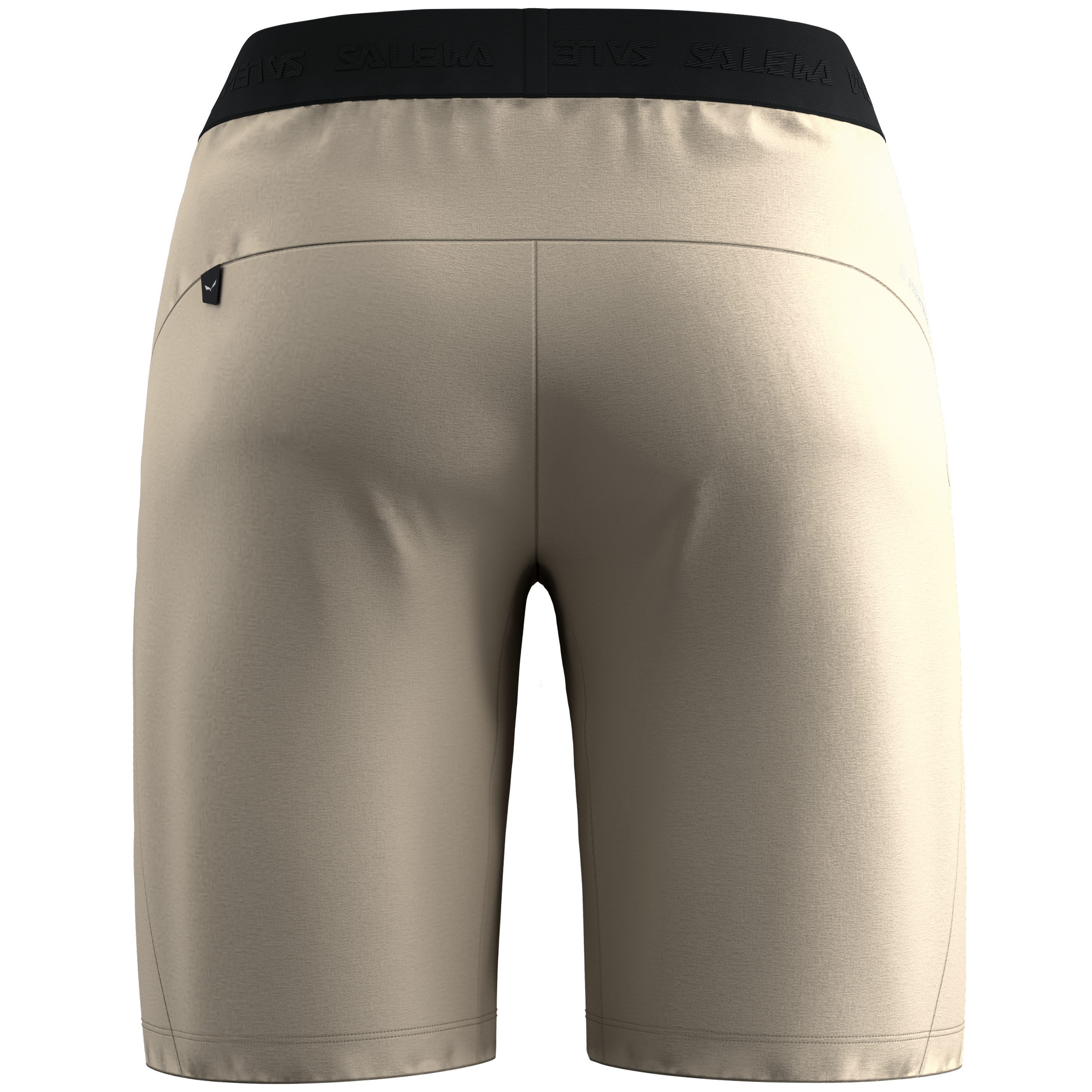 Puez 4 Shorts Herren