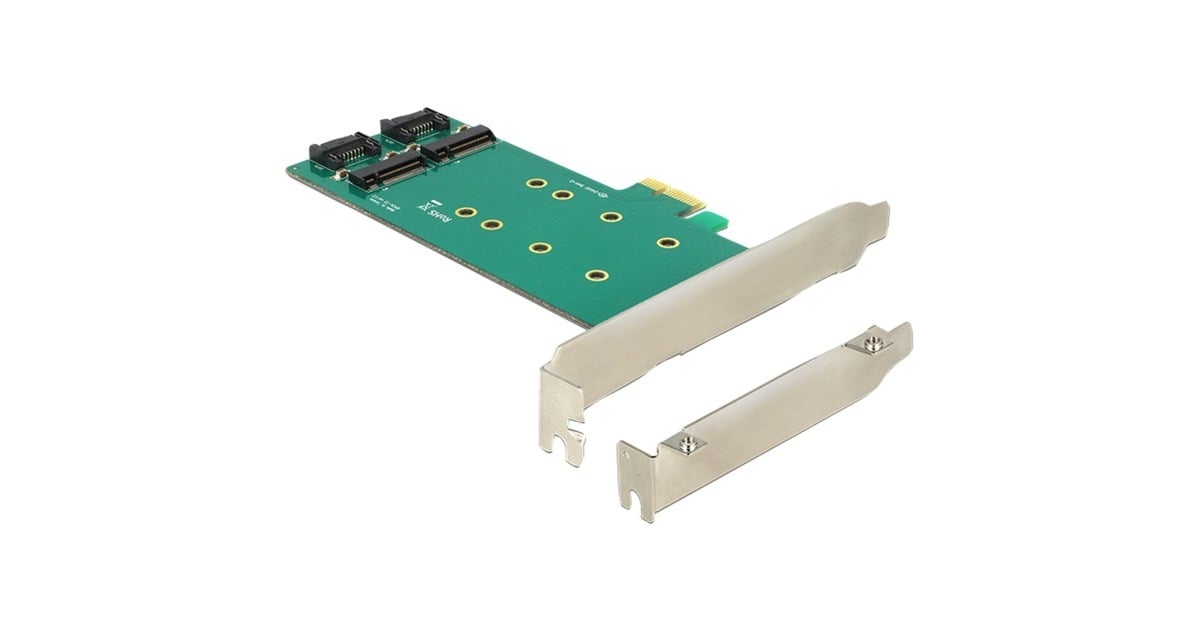 DeLOCKPCI Express Card > 2 x internal M.2 Key B 110 mm - Low Profile Form Factor adapter