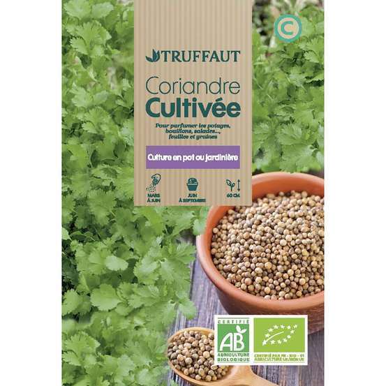Graines de coriandre cultivée Bio en sachet