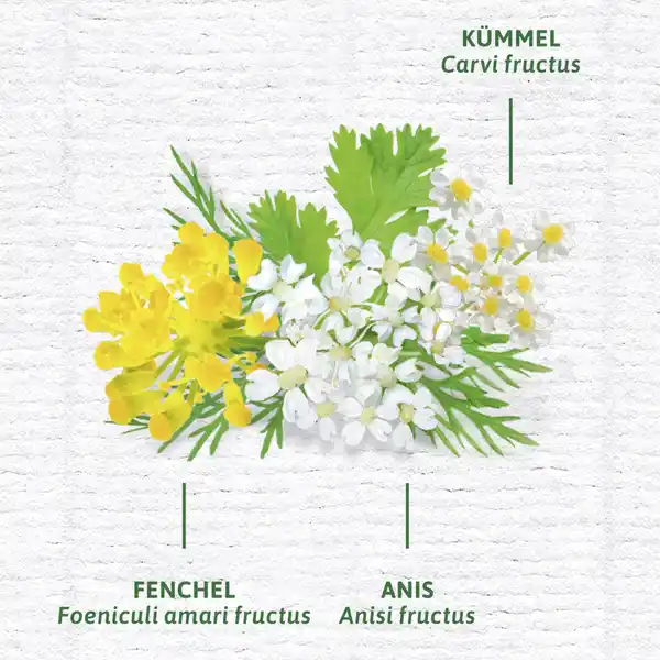 Bio Magen- und Darm Tee