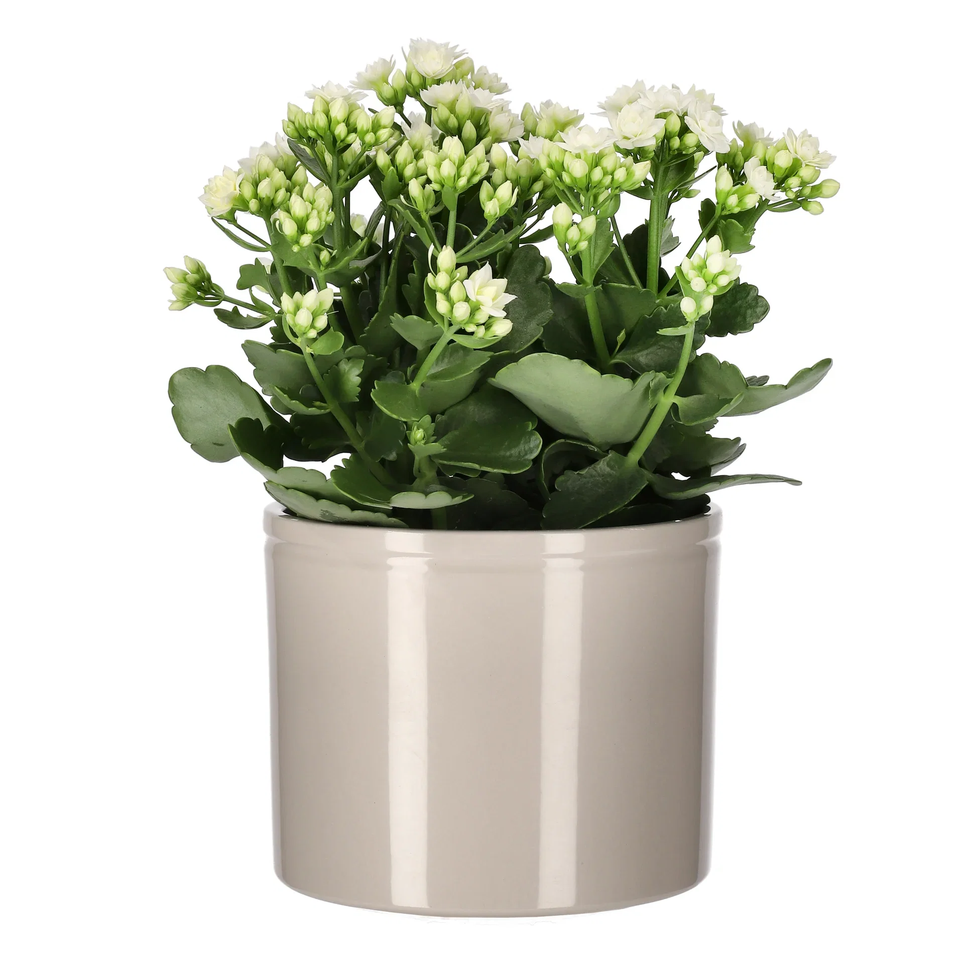 Potte Ada Ø17 cm