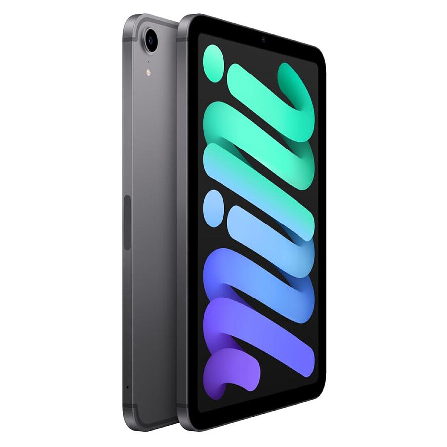 Apple iPad mini (2021) Wi-Fi + Cellular - 64 Go - Gris sidéral