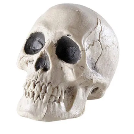 Widmann Deko Totenkopf, sortiert