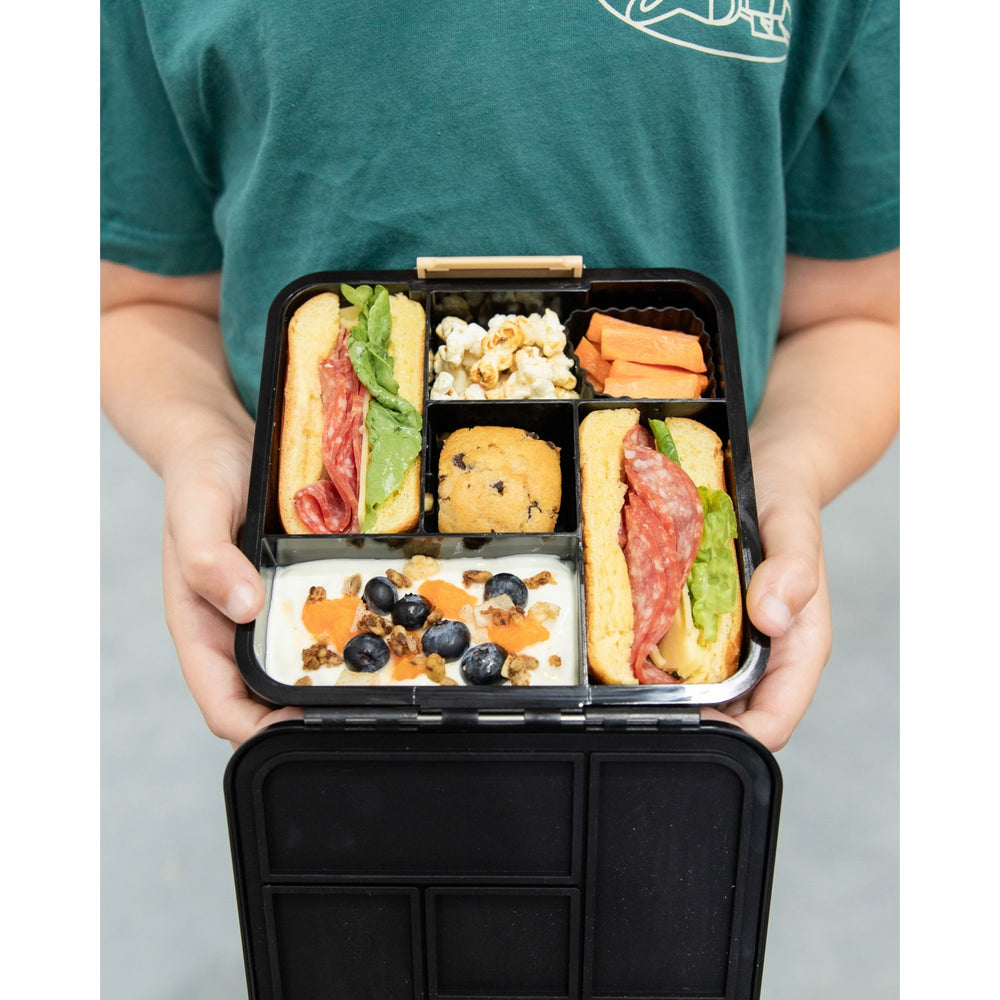 Køb MontiiCo Dinosaur Land Bento Five
