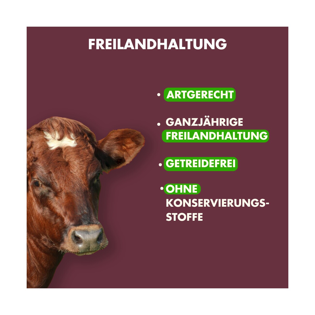 Irish Pure Beef Bites mit Kelp-Alge