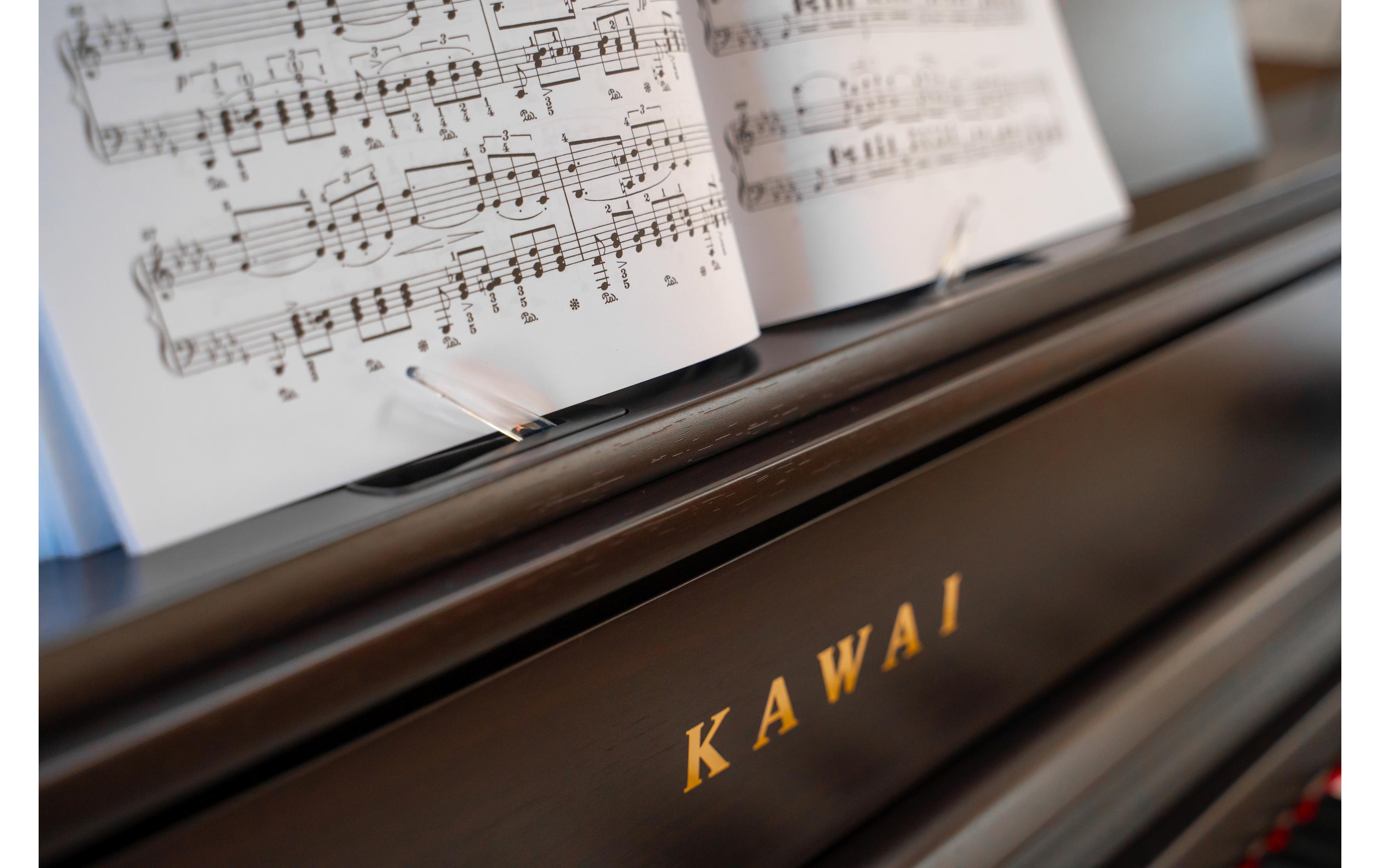 E-Piano CA-701 – Palisander<br>Digitalpiano mit Bluetooth-MIDI- und Audio-Konnektivität sowie USB-Anschlussmöglichkeit
