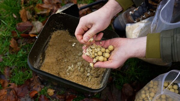 Pack d'Appâts Tactic Carp Instant Maggot Pack