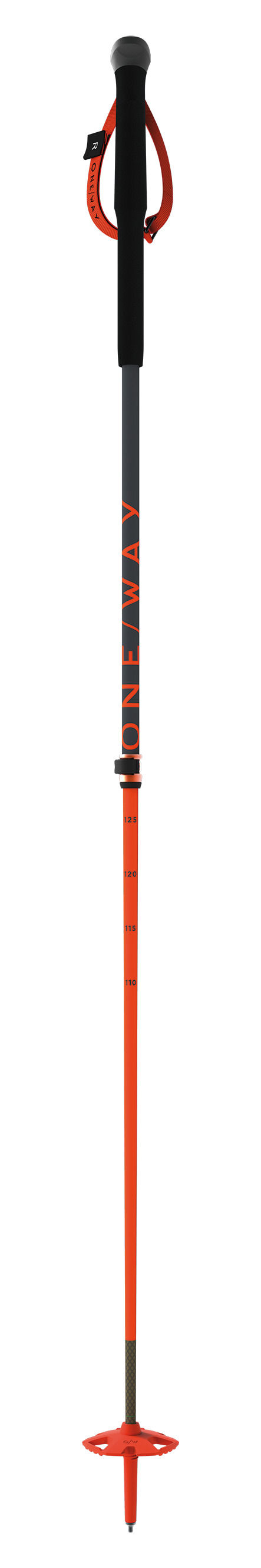 TR Carbon Vario