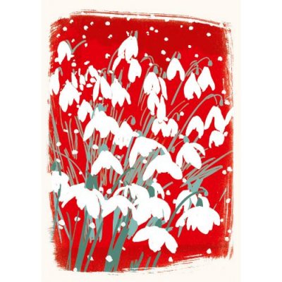 Snowdrops On Red Greetings Card