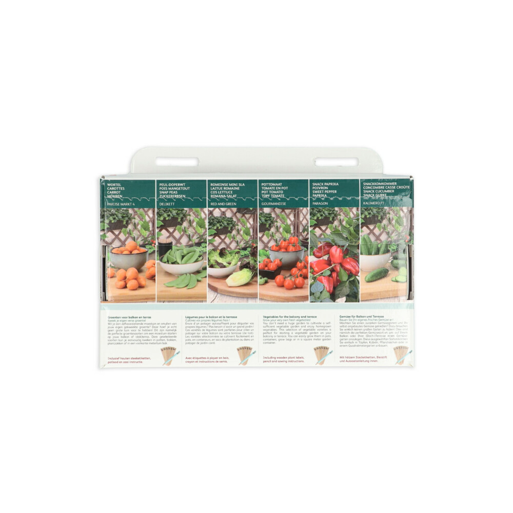 Buzzy Collection Kweekset 6 Groenten Voor Balkon En Terras1 set