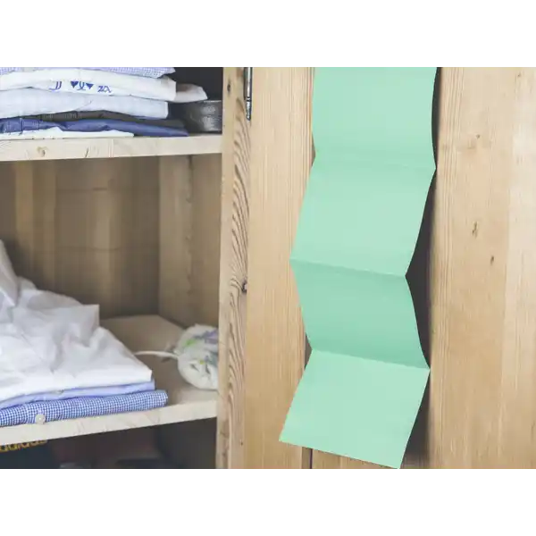 Motten-Papier