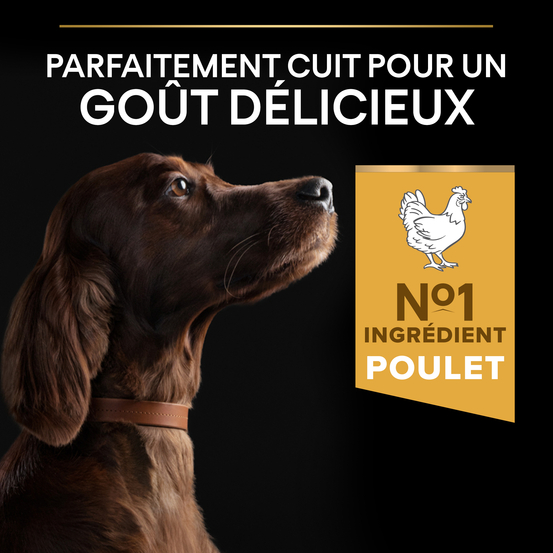 Croquettes chien adulte - 14 kg + 2,5 kg offerts