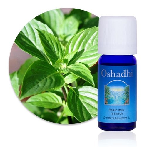Huile essentielle basilic à linalol bio