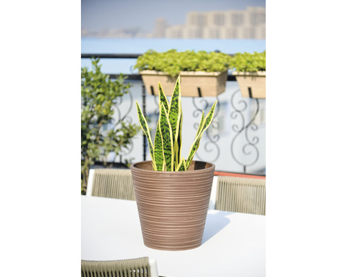 Lafiora geribbelde kunststenen plantenbak, Ø 31 cm, H 29 cm, bruin