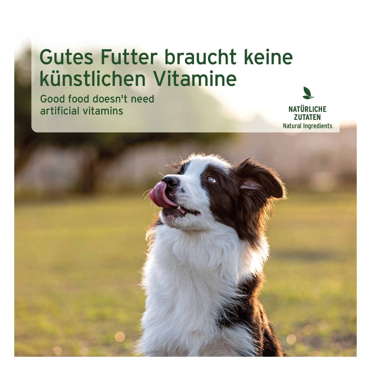 AniForte RanchHorse Pferd mit Süßkartoffeln 6x400 g