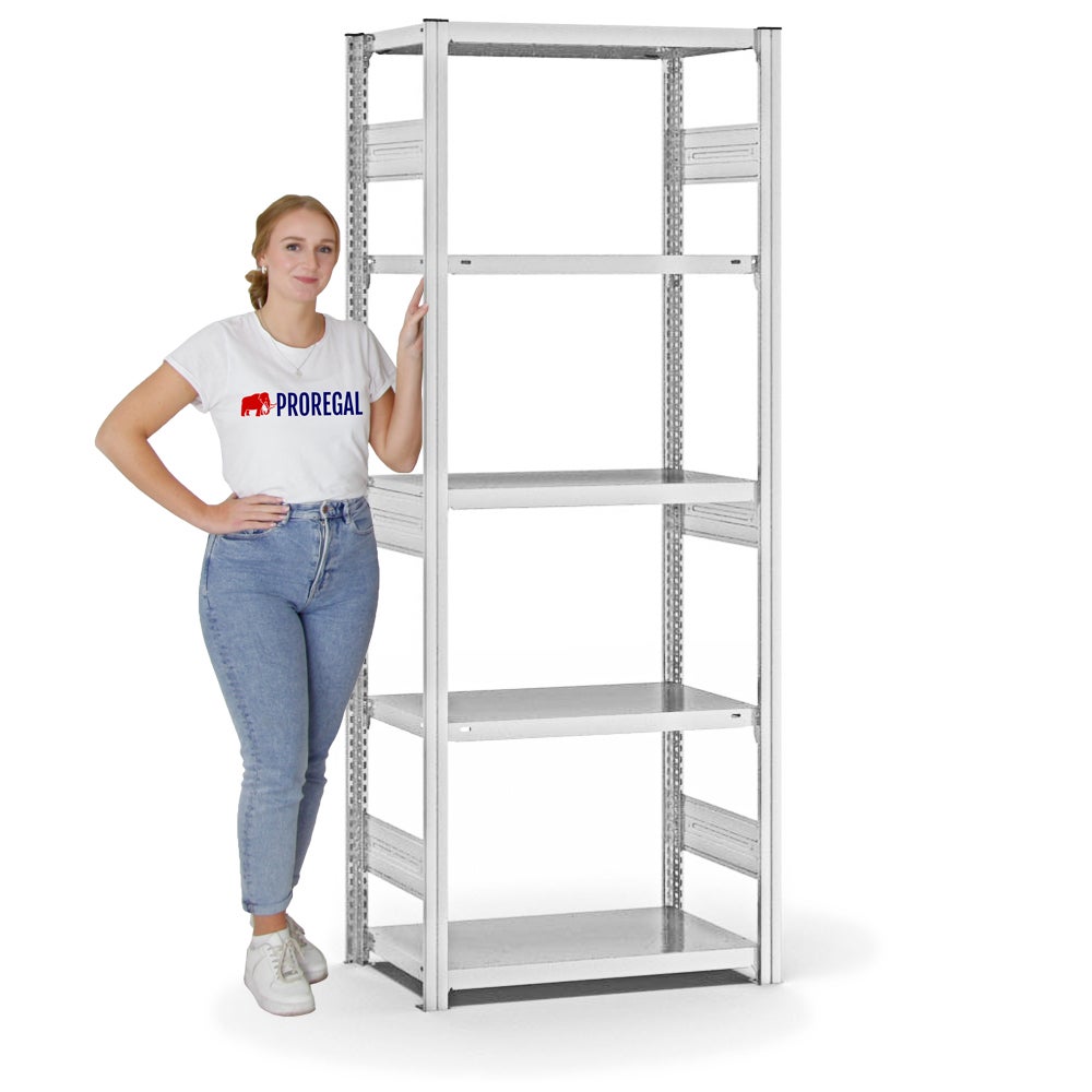 PROREGAL Stellingkast, insteeksysteem, T-profiel, extra zwaar, basiskast, hxbxd 200 x 75 x 40 cm, 5 legplanken, draagvermogen legplanken 315 kg, aan beide zijden te gebruiken, lichtgrijs