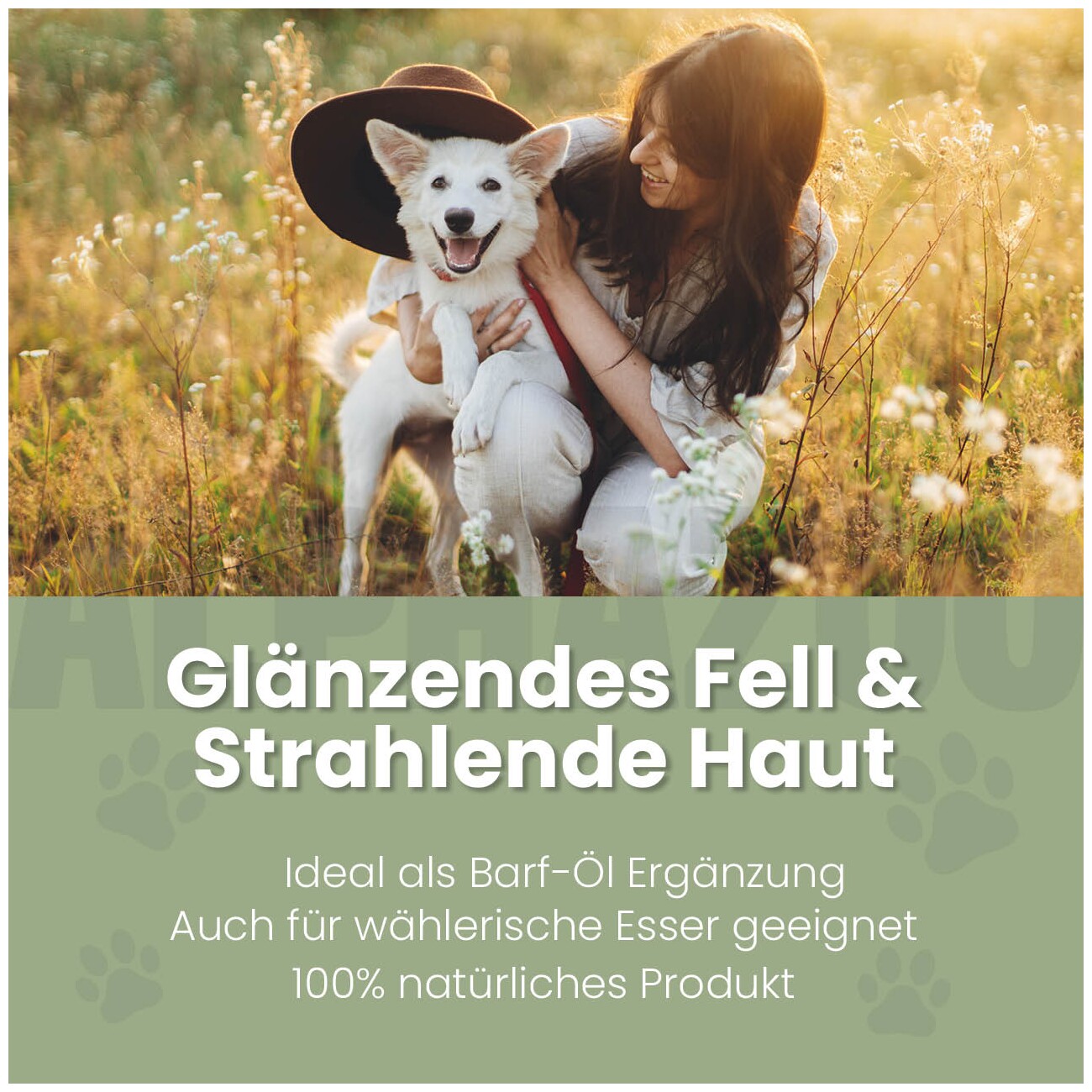 ALPHAZOO Premium Lachsöl für Hunde I Natürliches Omega-3 Fischöl