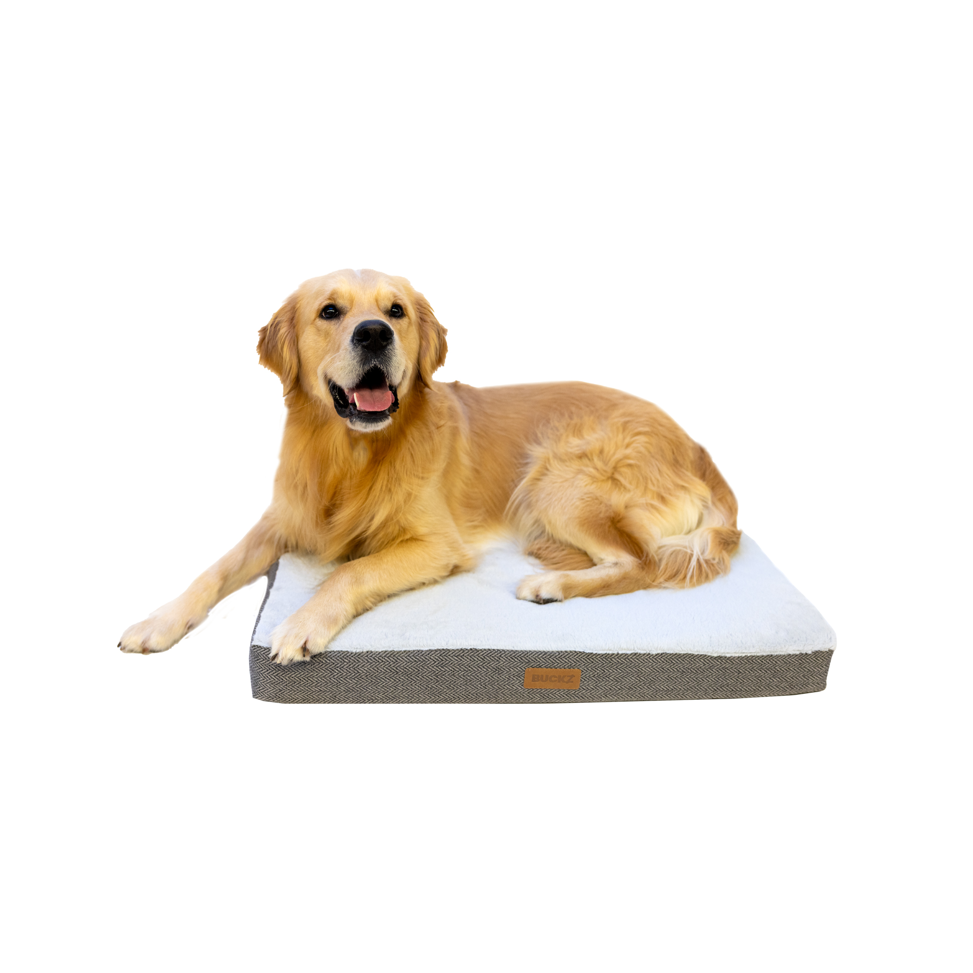 Buckz Orthopedisch Hondenkussen Bo