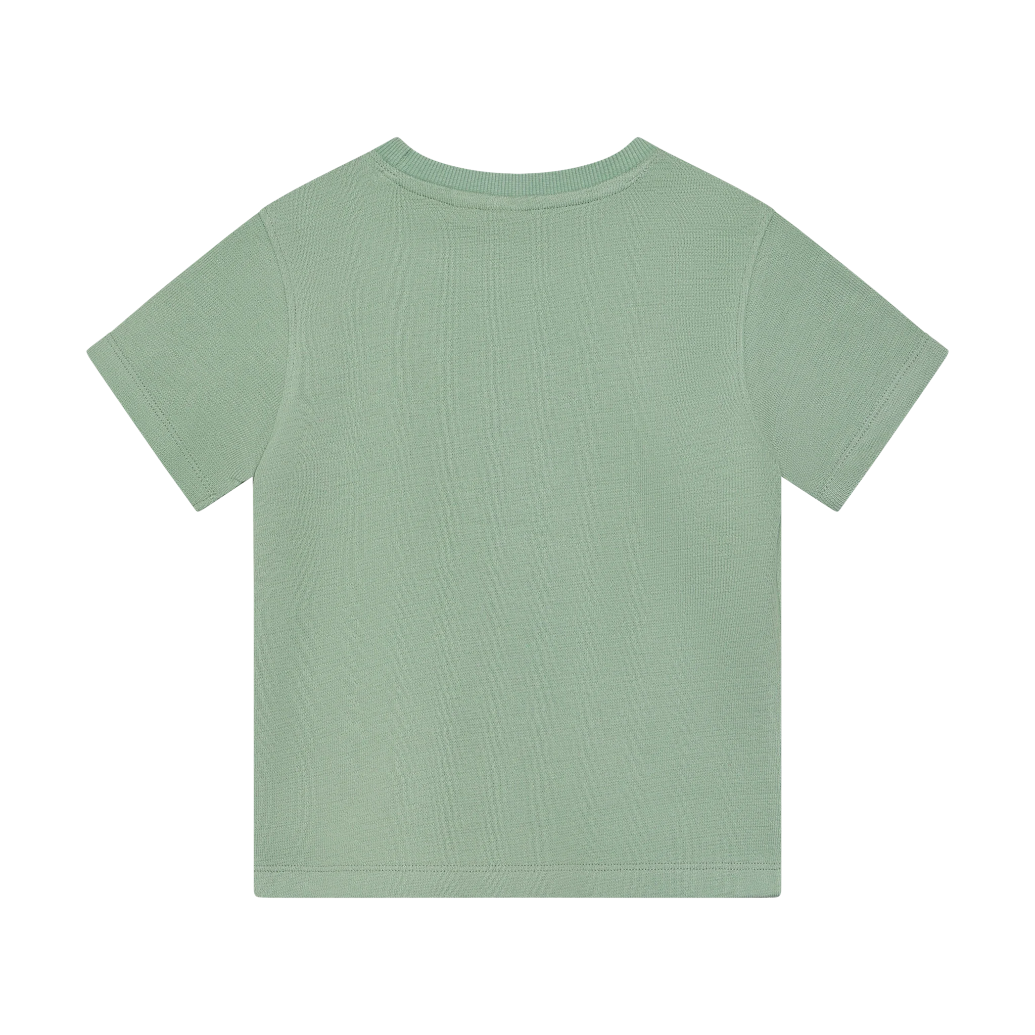 Daily7 Daily7 t-shirt basic badge green milieu