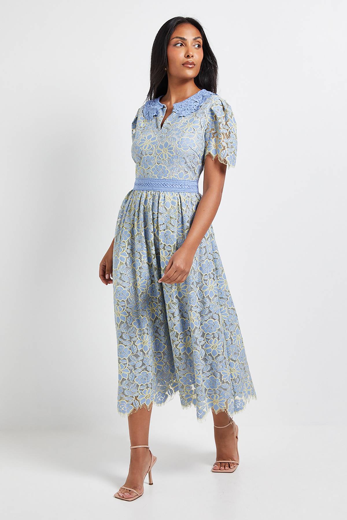 Wallis Robe Midi Boutonnée à Col en Dentelle Petite Taille