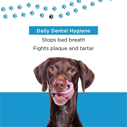 Spray dental bio PETUCHI com aroma de canela para cães
