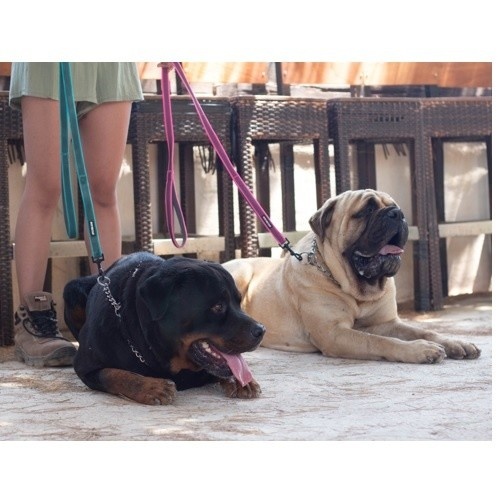 Guia de nylon vermelha com alça dupla para cães da APEX DOG GEAR