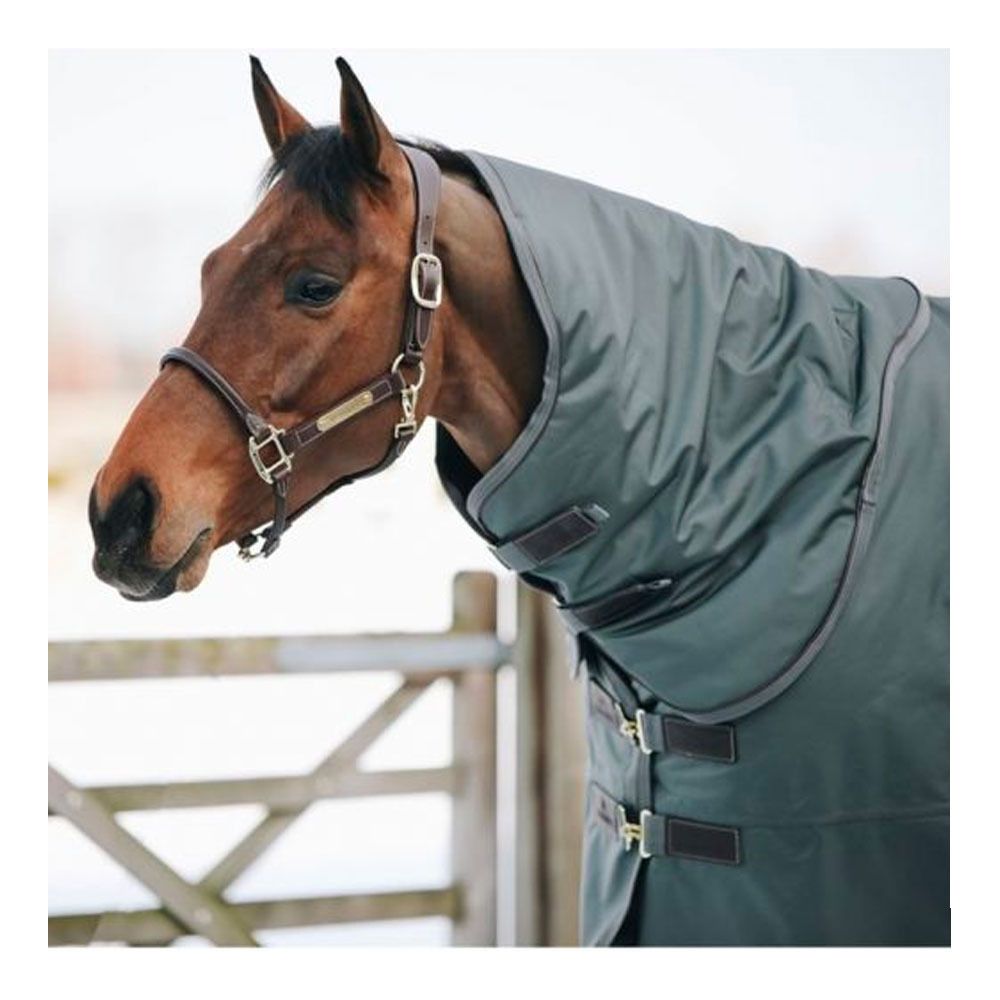 Kentucky ALL WEATHER WATERPROOF PRO 150G - Couvre-cou dark green