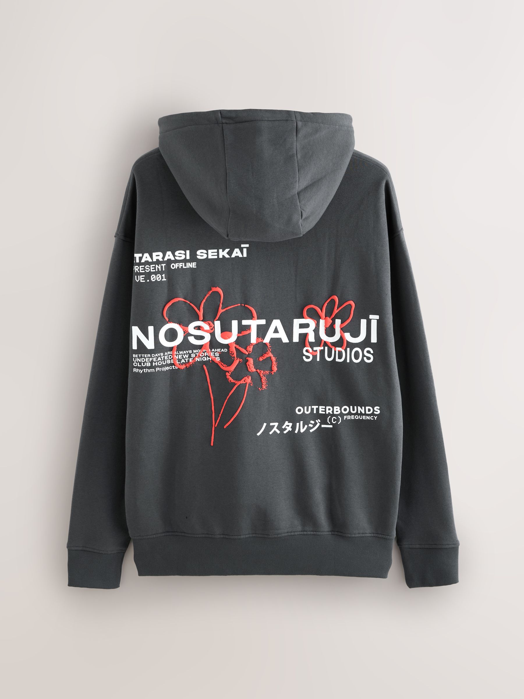 Leisteen grijs - Hoodie met grafische print