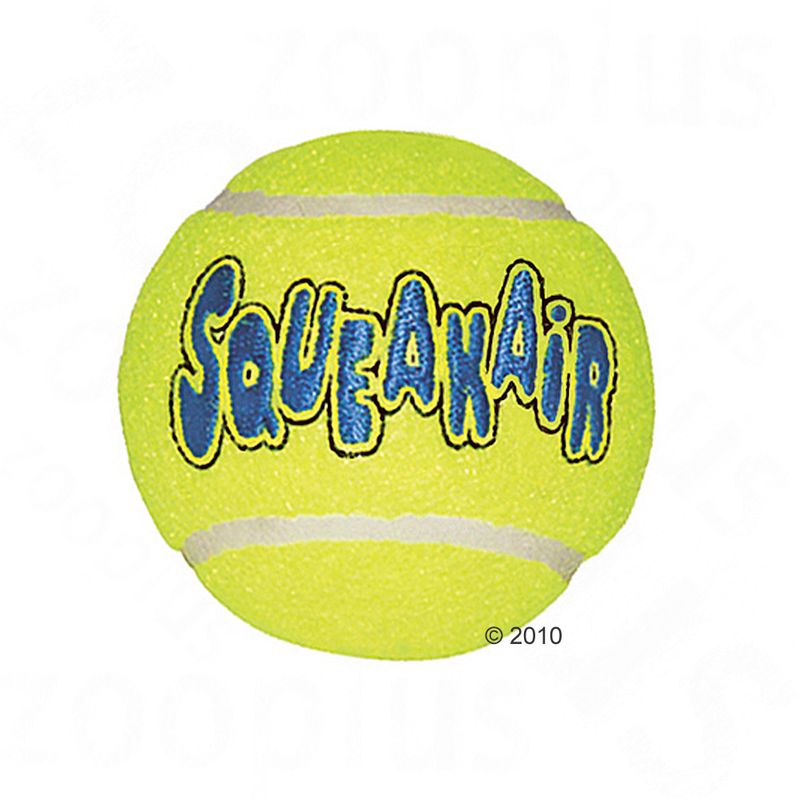 2 balles de tennis KONG  L