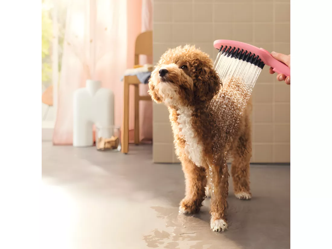 Pommeau de douche pour chien HANSGROHE DogShower 3 jets Rose