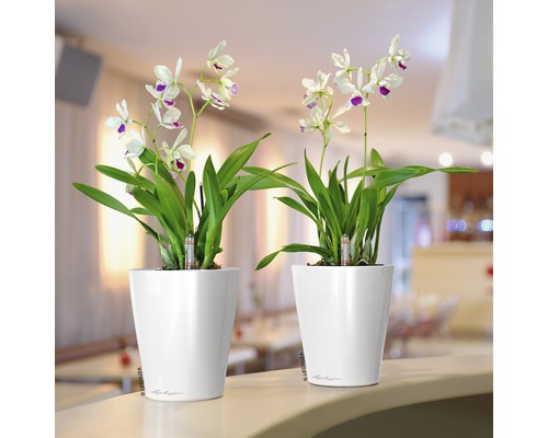 Lechuza Deltini Mini kunststof bloempot Ø 10 H 13 cm wit incl. grondbewateringssysteem en waterniveau-indicator