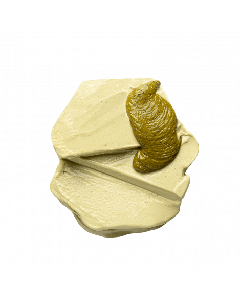 Glace Pistache & Praliné Pistache - Le Chocolat Alain Ducasse 90 ml