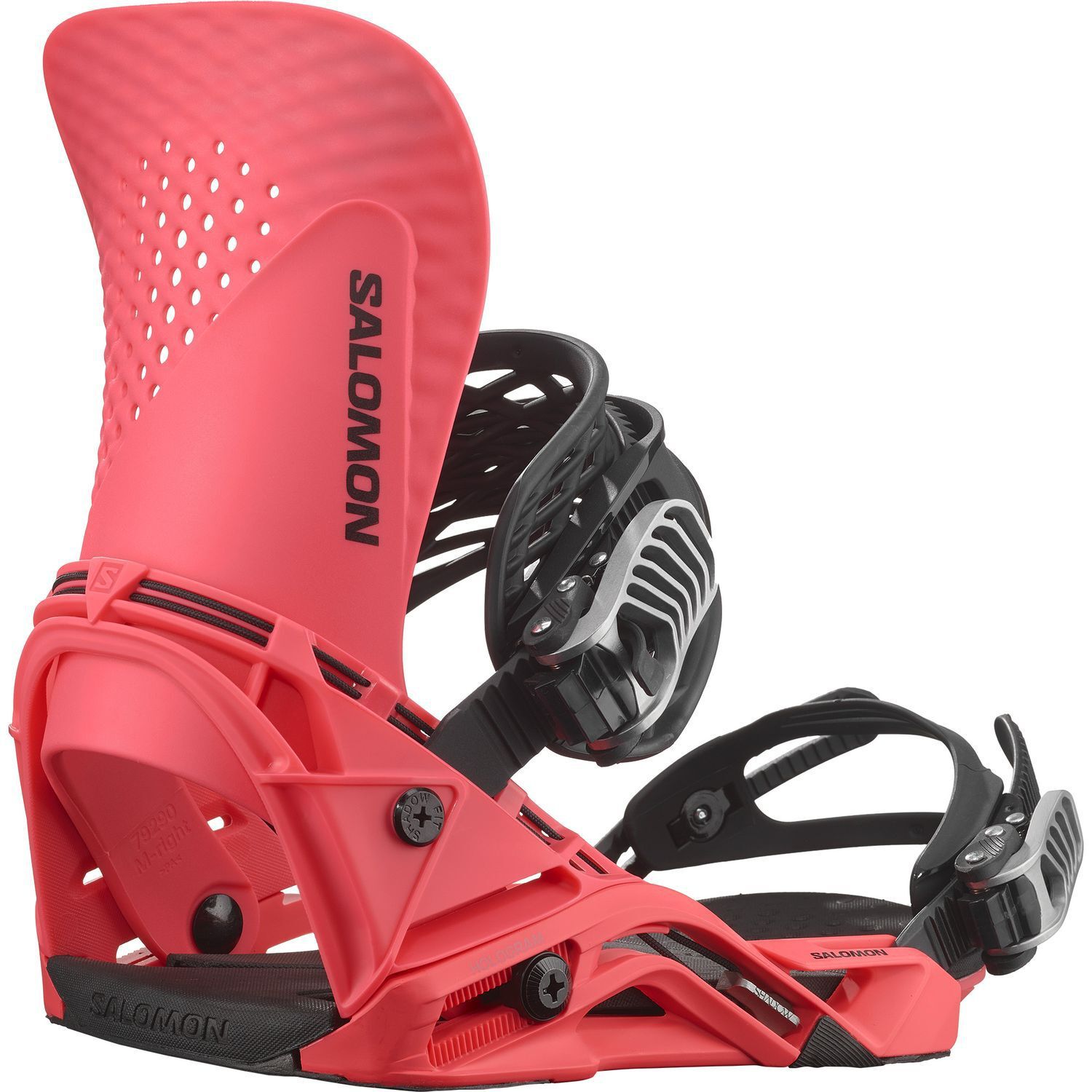 SalomonHOLOGRAM