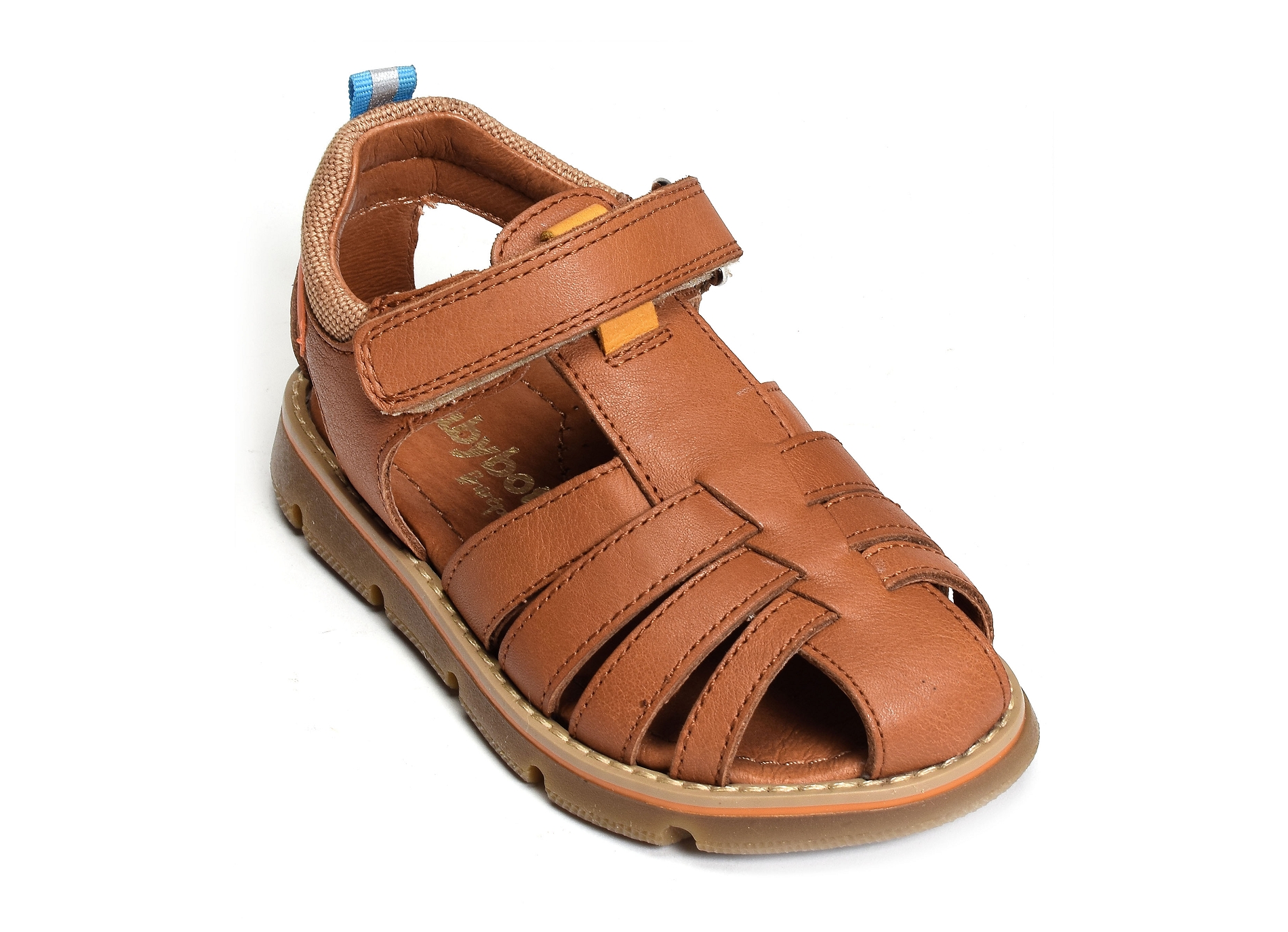 Kiko camel