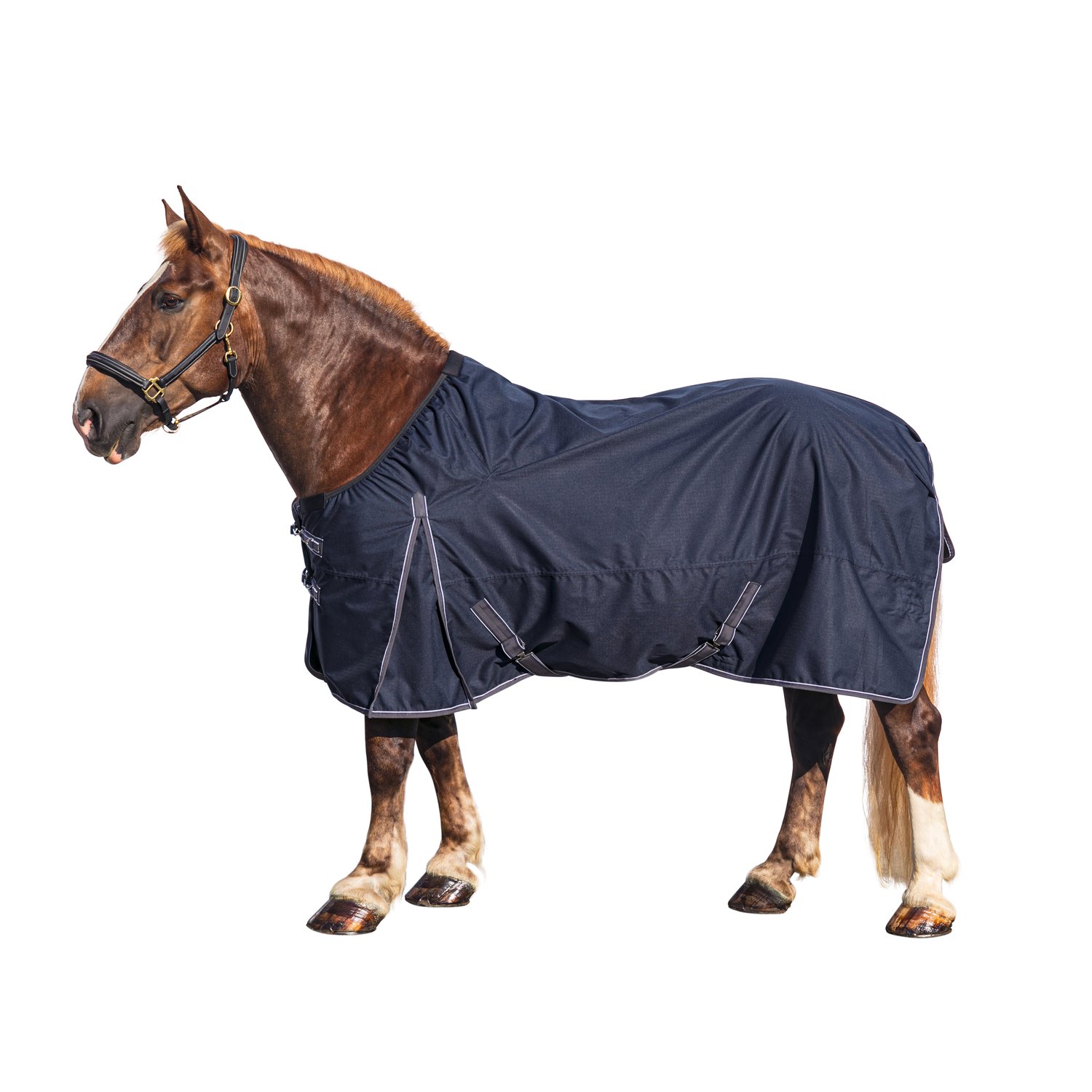 IRISh INNOVATION Leeds XL - navy
