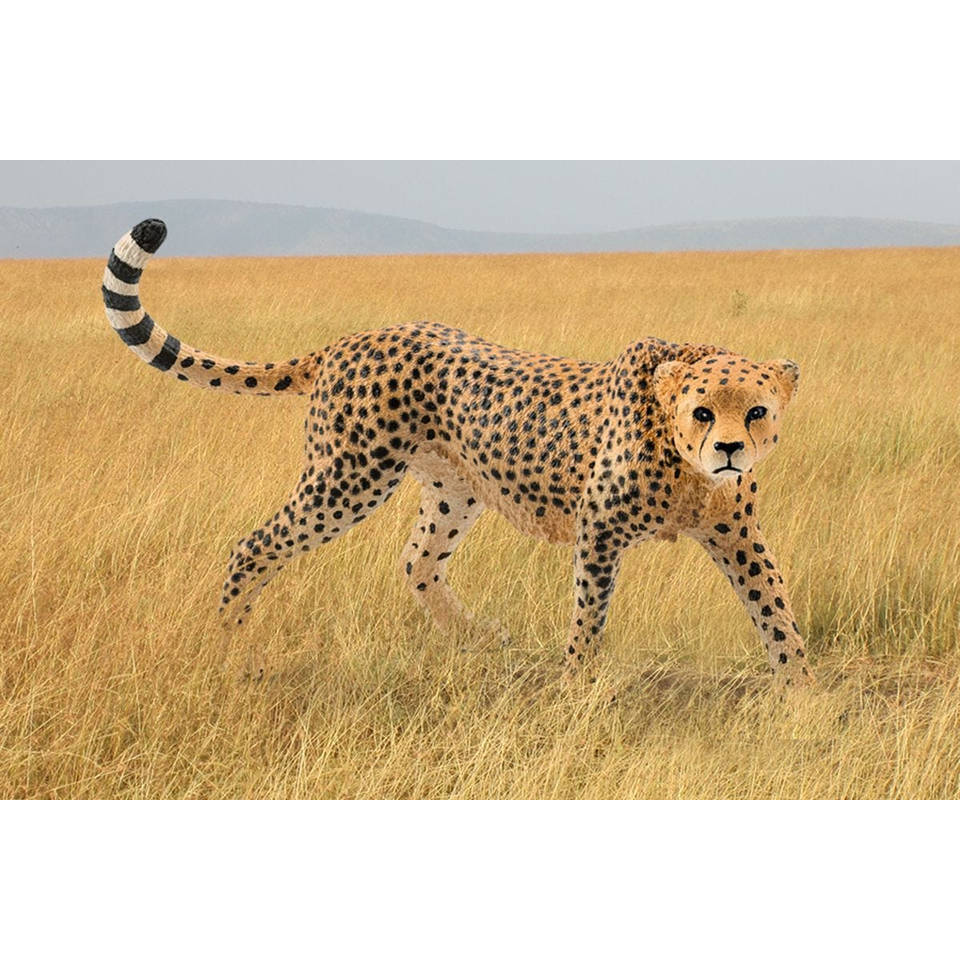 schleich WILD LIFE jachtluipaard 14746