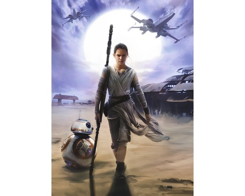 Fotobehangpapier 4-448 Disney Edition 2 Star Wars Rey 4-delige set 184 x 254 cm