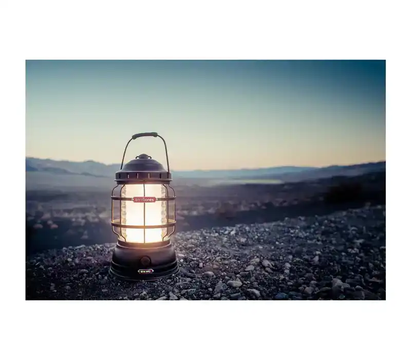 Forest Lantern