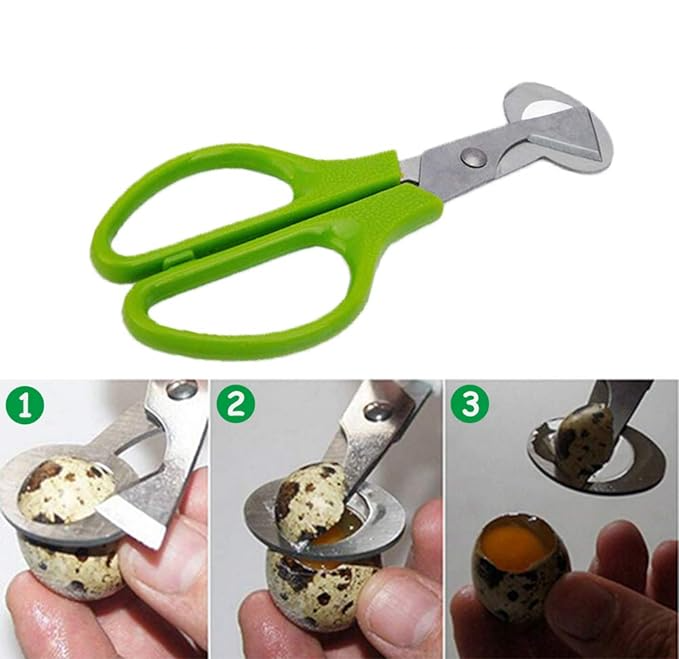 (14x6cm) Wachteleier Schere Eierschalen Schneider Küchenwerkzeug Eier Öffner - Grün