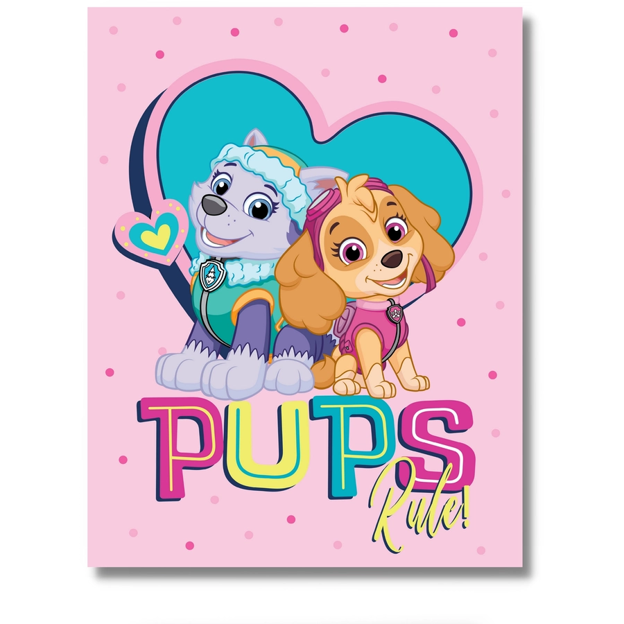 MTOnlinehandel Kuscheldecke Fleece-Decke Kinder, 130x170 Paw Patrol rosa